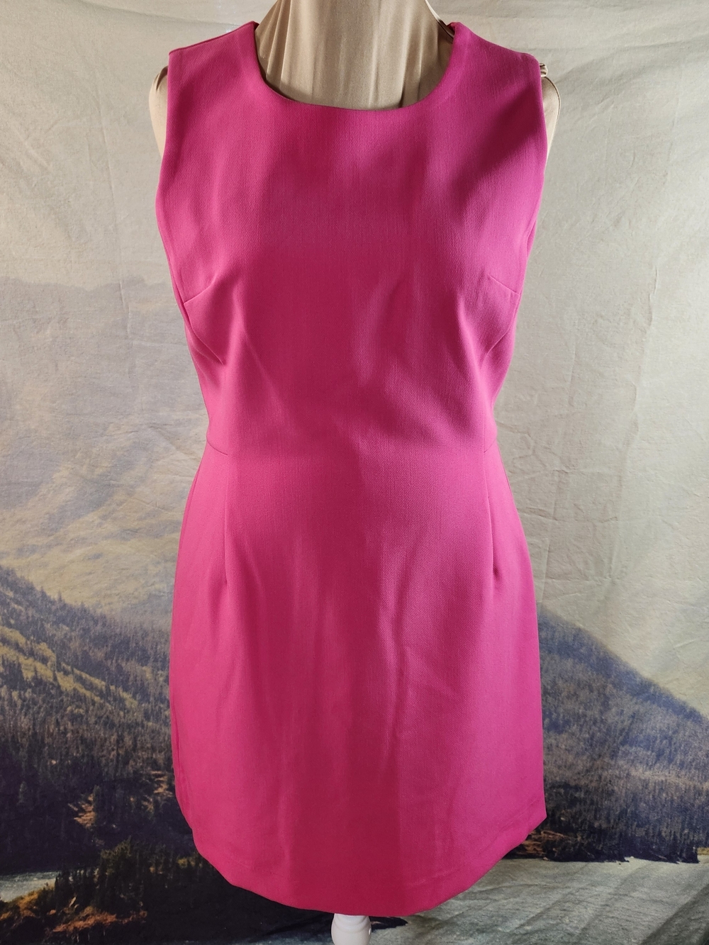 On 34th Macy's Hot Pink Sheath Dress 10 NWT